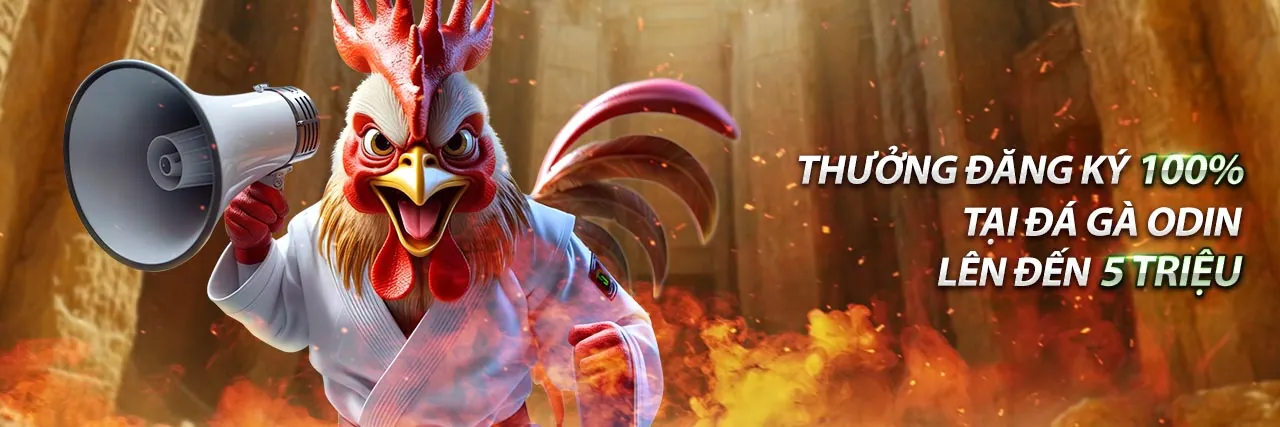 Hình ảnh Điều khoản Dịch vụ saoclub đăng nhập