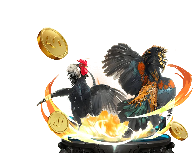 Ưu đãi đá gà đặc biệt tại saoclub đăng nhập